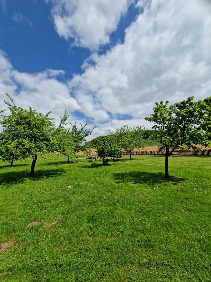 Vila Koetterhof Bevern  Exteriér fotografie